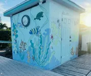 Generator, Golf cart avail., 2 BR beach villa in Treasure, WiFi, washer & dryer - Homestays