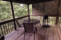 Cute lil cabin w/hottub overlooking the trout pond