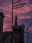 Casa dell'armonia - The oasis of peace in the center of Rovinj
