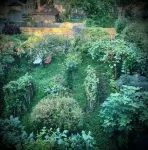 Whitt’s End -- a spacious private lodging in a historic Springfield neighborhood - บังกะโล