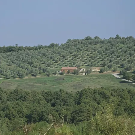 House / Villa - Cetona