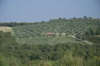 House / Villa - Cetona