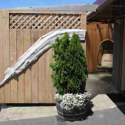 "TIDAL RAVES" Oceanview WiFi, Enclosed, View Patio, Secure Parking. City Center Hotel Exterior