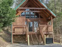 " Beary Cozy Cabin " - Private Pools