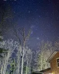 Cabin in the Woods, 10 Acres, Sleeps 8. Close to Orv Trails and Forest Dunes. - Chalets