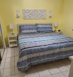 Sunny 1/1 BEACH FRONT Condo  overlooking the ocean! :) ,  Steps to the beach! - 부티크