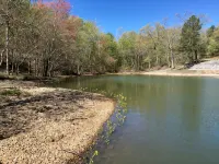 Experience Kentucky Lake out the back door! Spacious 4-bedroom retreat awaits. - 홈스테이