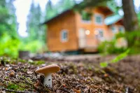 Private Cabin with Open Loft - Sleeps 3-6 - Chalets