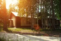 Сибирячка - Разрешено размещения с домашними животными