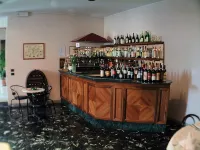 Hotel Savoia e Campana - bar