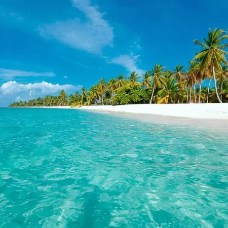 Punta Cana Sol Caribe Beach Pool