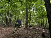Charming A-frame cabin set in the woods overlooking deep wooded ravines. Hotels in Coles County