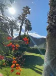 Sacred Cove Oasis - Indian Wells Tennis and Festival Hideaway - Wifi