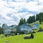 Altai Palace Сибирская Монета (Алтай Палас) - С бассейном