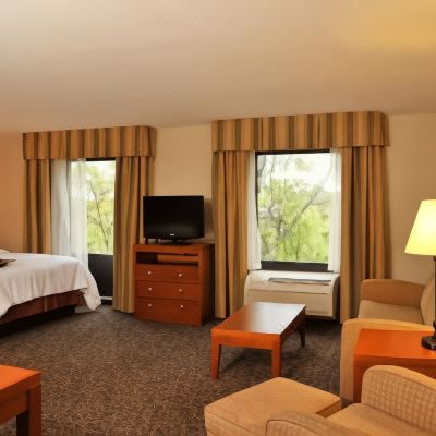 Larger Room with 1 King Bed and Shower Only - Non-Smoking Hampton Inn Enterprise Promo Code