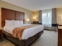 Comfort Inn & Suites Augusta Fort Eisenhower Area Hotels near Augusta Technical College