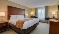 Comfort Inn & Suites Augusta Fort Eisenhower Area - 2 Yıldız