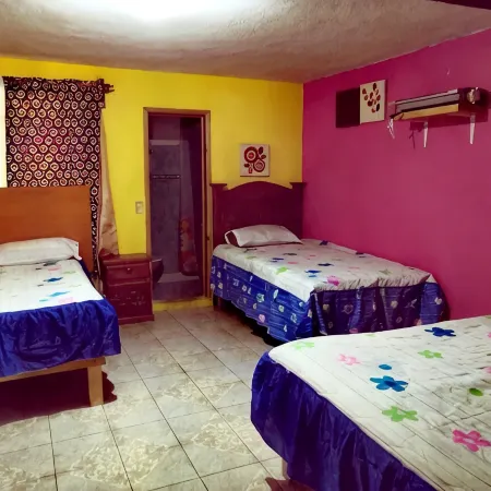 Nice Apartment Near the Center Ground Floor