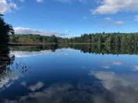 Quaint cottage on peaceful NH lake! Enjoy swimming, kayaking, and trails. - Alphydda