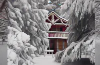 Sycamore Avenue Treehouses & Cottages Accommodation - 3-Sterne