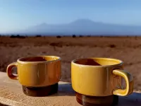 Amboseli Amanya Lodge Hotels in Entonet