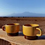 Amboseli Amanya Lodge Hotels in 