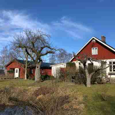 Villa Maria Garden Cottages, Helsingborg Hotel Exterior