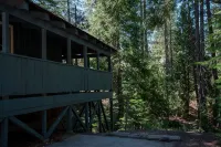China Alley Cabin C: Cute & Cozy Cottage w/ Deck - 3-Star