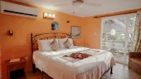 Casa Mimosa-7BR 9BA-Private Beach...Ask about last minute deals! - Villas