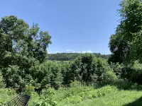 Moderne Wohnung im Grünen mit Privatem Garten Hotels in Donaueschingen