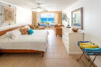 Perfect&Quiet Oceanfront 1BR Condo, 2 miles North of town, Awesome Snorkeling - Homestays