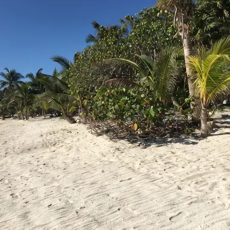 Casa De Las Conchas Luxury Beach Front Villa