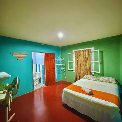 Green Hostel - Hostels
