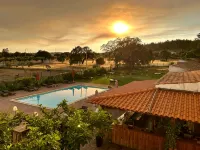 Hotel Boavista - Vintage House - Pools