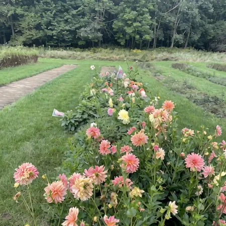 Cozy Cottage Escape on 123 acres