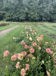 Cozy Cottage Escape on 123 acres - 4-Star