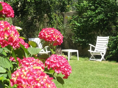 Spacious garden center of Pezenas - 무료 와이파이