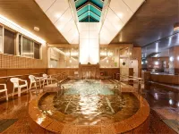 Terume Kanazawa - Hot Springs