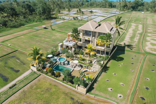 The Nenggala Suite