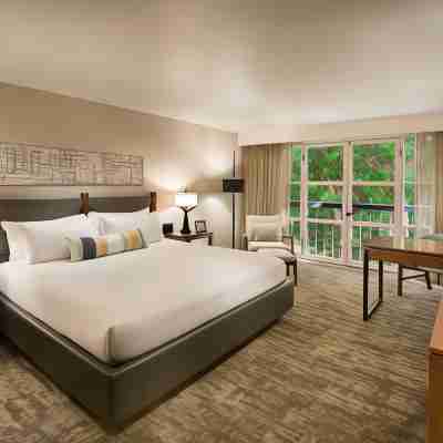 Tempe Mission Palms, A Destination by Hyatt Hotel Rooms