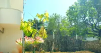 Room in Studio - Albania Dream Holidays Studio Ksamil