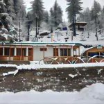 Vansh Green View Homestay
