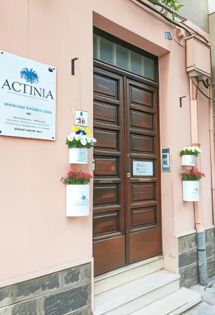 Actinia Accommodation