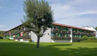 Hotel Chrysantihof Отели в г. Эгльхам