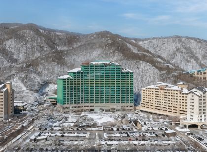 소노캄 비발디파크