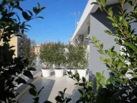 Gatto Bianco le Terrazze