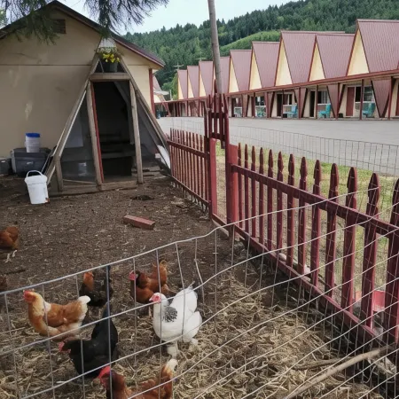 The Ranch Motel