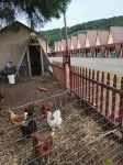 The Ranch Motel