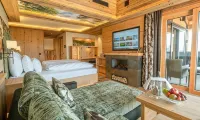 Natur- & Wellnesshotel Brunner Hof Hotels in Cham