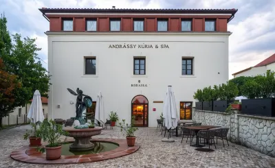 Andrássy Kúria & Spa Hotels in Tarcal